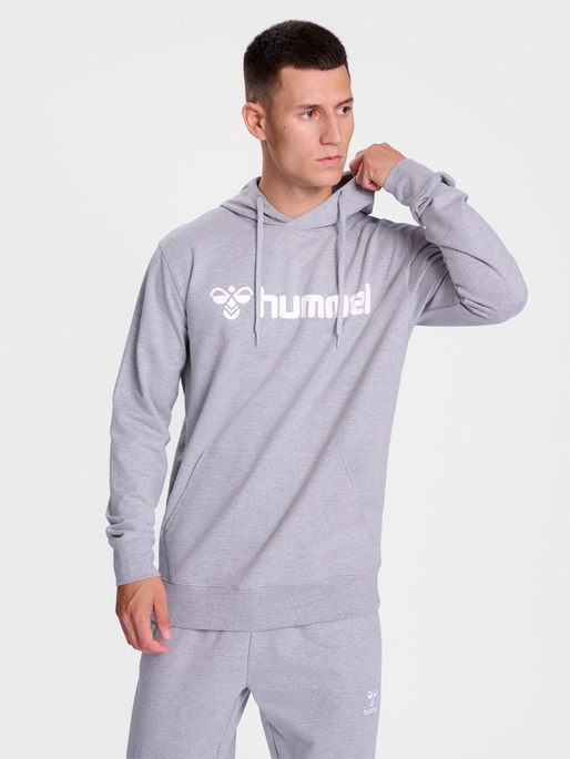 Sudadera con capucha y logo hummel Go 2.0