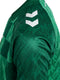 hummel 24/25 Werder Bremen Home Jersey