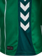 hummel 25/26 Werder Bremen Home Soccer Jersey