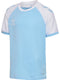 hummel Match League Jersey S/S (youth)