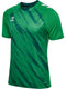 hummel Match Triumph Jersey S/S