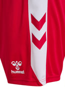 hummel Match Shorts