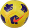 Nike Park Team Soccer Ball