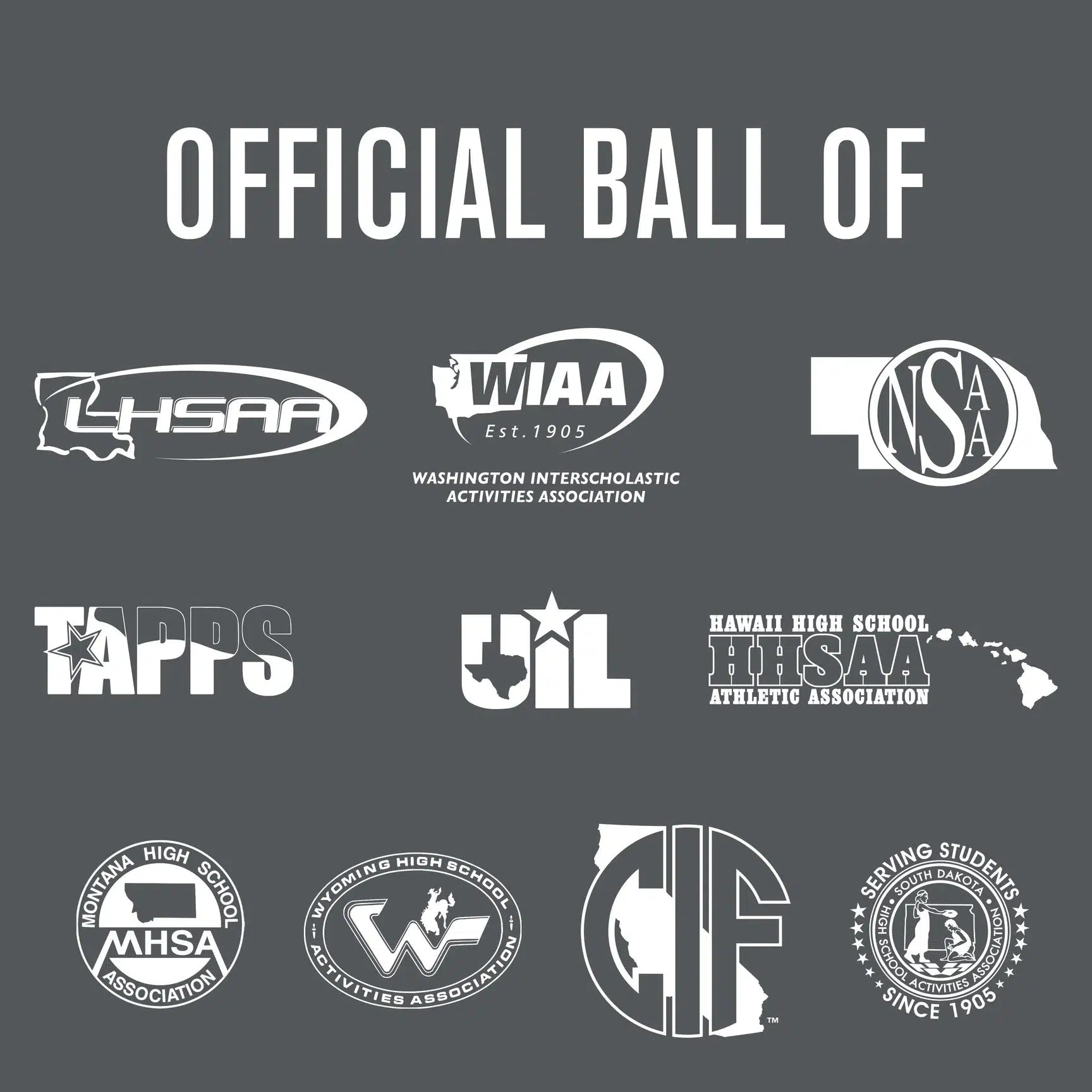 Baden Perfection Thermo Soccer Ball-Soccer Command