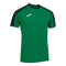 Joma Eco-Championship Soccer Jersey (youth)-Soccer Command