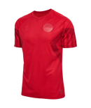 2022 hummel Denmark World Cup Replica Home Jersey (adult)-Soccer Command