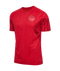 2022 hummel Denmark World Cup Replica Home Jersey (adult)-Soccer Command