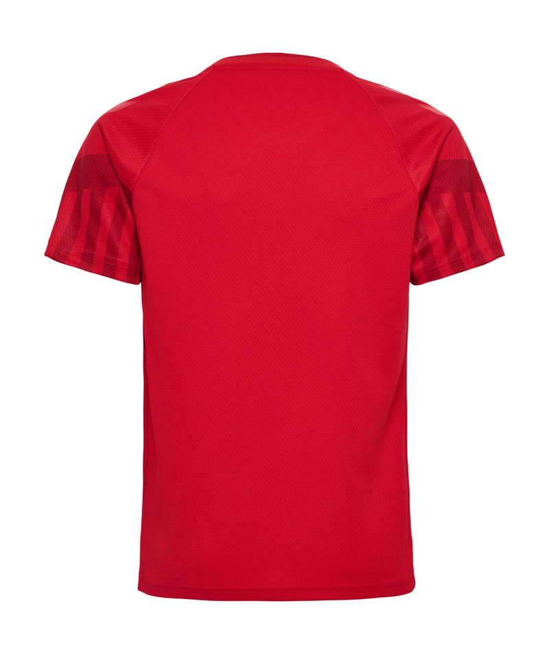 2022 hummel Denmark World Cup Replica Home Jersey (youth)-Soccer Command