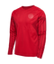 2022 hummel Denmark World Cup Replica Home L/S Jersey (adult)-Soccer Command