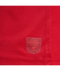 2022 hummel Denmark World Cup Replica Home L/S Jersey (adult)-Soccer Command