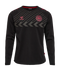 2022 hummel Denmark DBU Fan Tee L/S (black)-Soccer Command