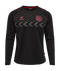 2022 hummel Denmark DBU Fan Tee L/S (black)-Soccer Command