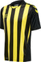 hummel Core XK Striped SS Jersey (youth)-Soccer Command