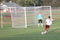 8' x 24' Pevo World Cup (box) 4 mm Hexagonal Replacement Soccer Goal Net-Soccer Command
