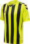 hummel Core XK Striped SS Jersey (youth)-Soccer Command