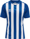 hummel Core XK Striped SS Jersey (youth)-Soccer Command