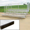 Standard Bleachers With Chain Link Fencing-Soccer Command