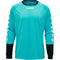 hummel Essential Soccer Goalkeeper Jersey-Soccer Command